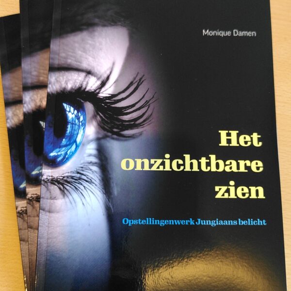 Het onzichtbare zien - boek